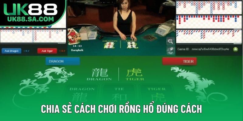 Chia sẻ cách chơi rồng hổ đúng cách
